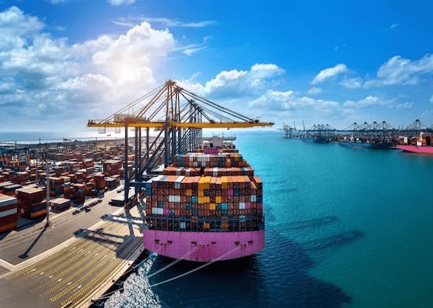 CUSTOMS CLEARANCE services